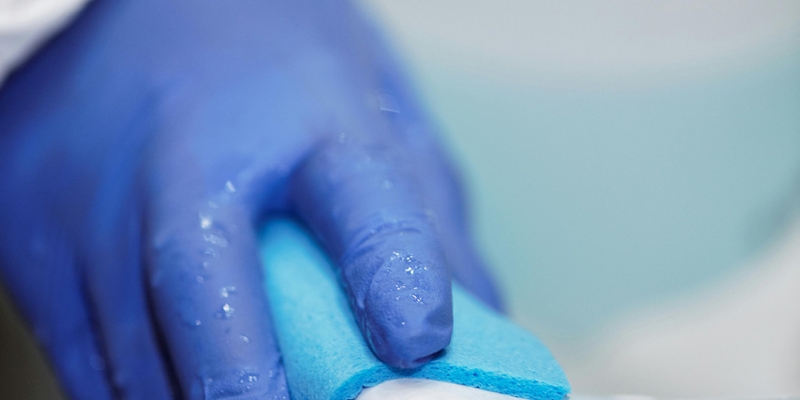 pexels-matilda-wormwood-4098759